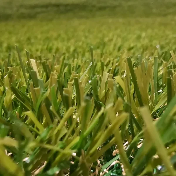 Artificial Grass Turf - Image 4